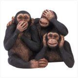 7c4d56e7091ad144ff7c8e3dc7a13f24--see-no-evil-zoo-animals.jpg