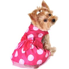 f6daee685141eab9a4bb2d668cbb1bbc--dog-parties-pink-polka-dots.jpg