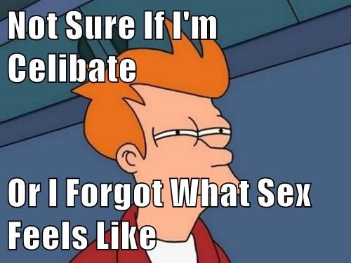 not-sure-if-im-celibate-or-i-forgot-what-sex-feels-like