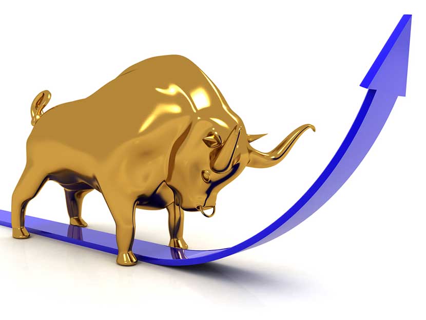 gold-bull.jpg