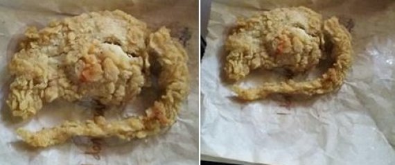 n-KFC-FRIED-RAT-HOAX-large570.jpg