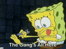 gangs-all-here-spongebob.gif