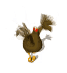 headless-chicken.gif
