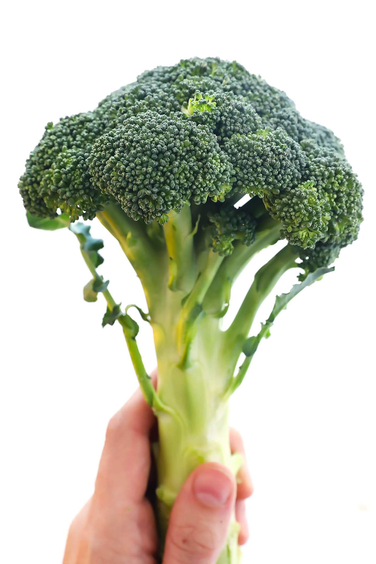 How-To-Cut-Broccoli.jpg